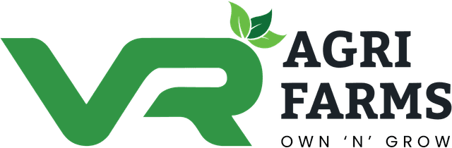 Logo 6